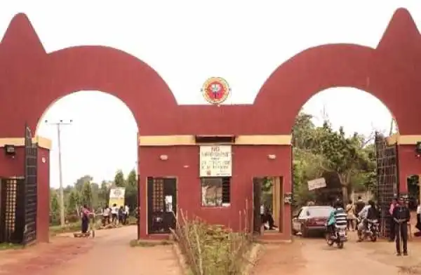 Just In: Popular Nigerian Polytechnic Sacks 13 Lecturers and Demotes 16 Others... Find Out Why